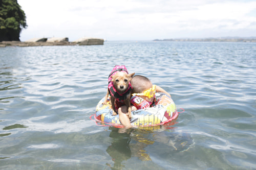海水浴 横堀海岸