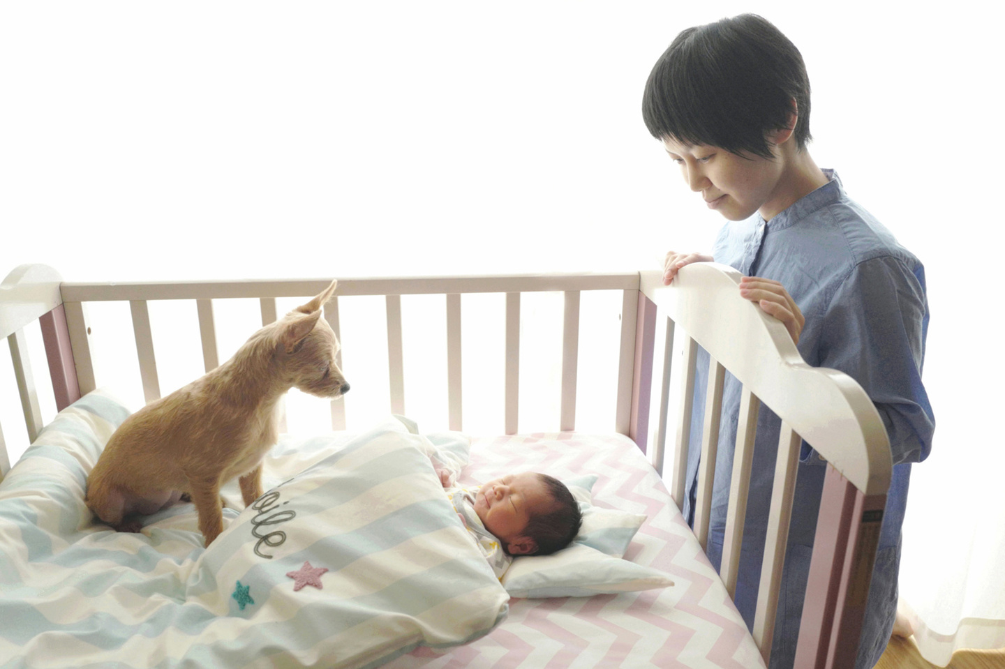 お宮参り、七五三、家族写真、明治神宮、寒川神社