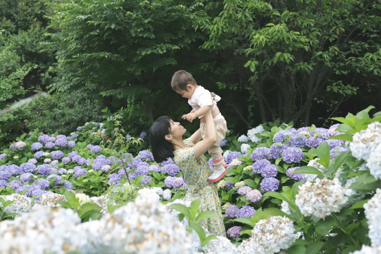 おしゃれ、自宅、子供、犬、お宮参り、七五三、家族写真、明治神宮、寒川神社