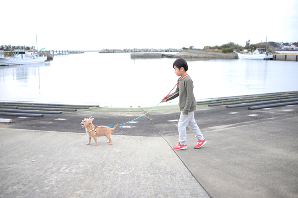 ボンジュールフォト