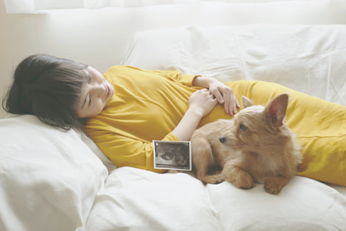 マタニティフォト