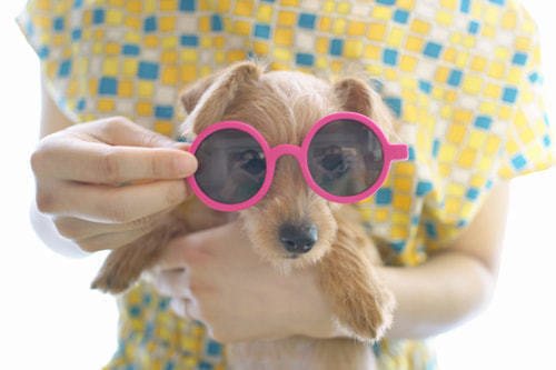 ホームページ、店舗、商品、プロフィール写真