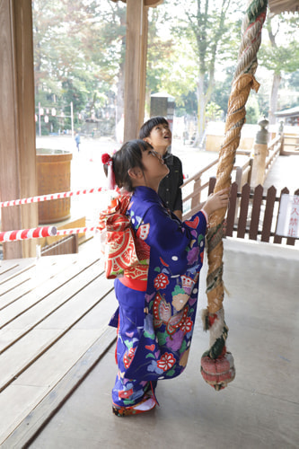 七五三写真 撮影場所 法華経寺７
