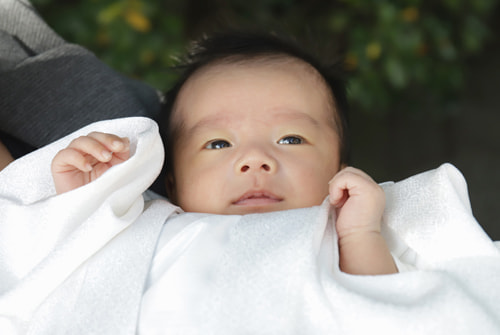 お宮参り写真 撮影場所 寒川神社２８