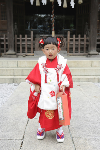 七五三写真 撮影場所 師岡熊野神社１３
