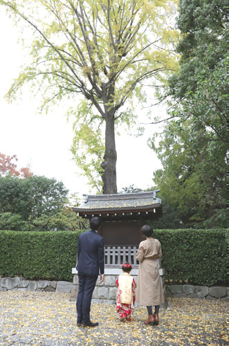 七五三写真 撮影場所 根津神社