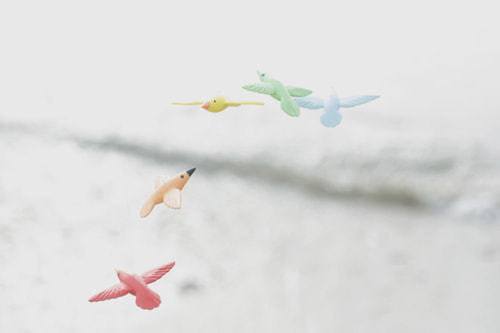 ホームページ、店舗、商品、プロフィール写真