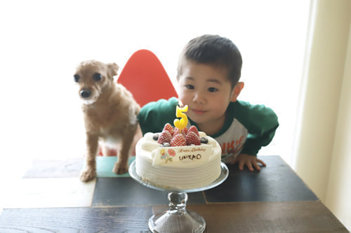 5歳バースデーフォト