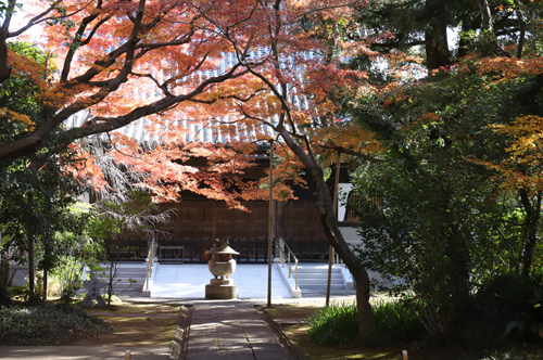 ボンジュールフォト