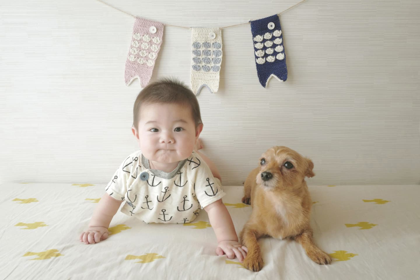 撮影ジャンル ボンジュールフォト