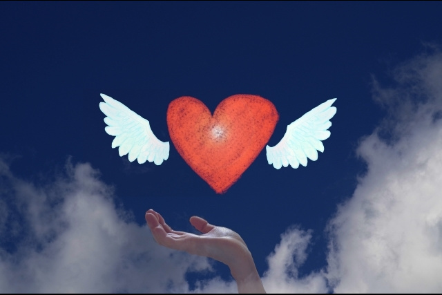 世田谷八幡宮 撮影許可