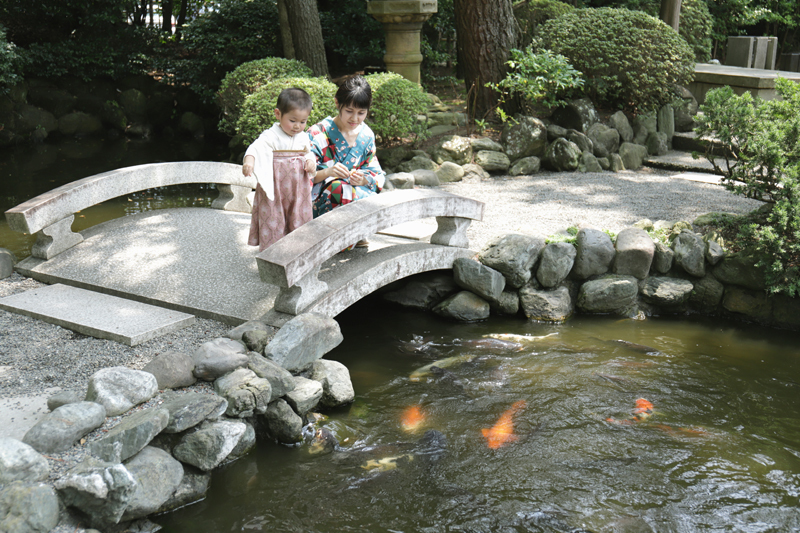 寒川神社の撮影ポイント・神池
