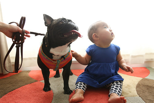 神社 ロケーションフォト、撮影許可、撮影禁止