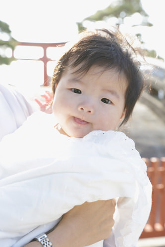 鶴岡八幡宮の撮影スポット 太鼓橋