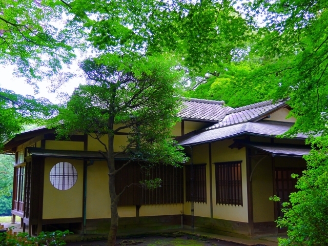 明治神宮 撮影スポット 明治神宮御苑・隔雲亭