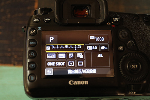 逆光｜写真テクニックガイド