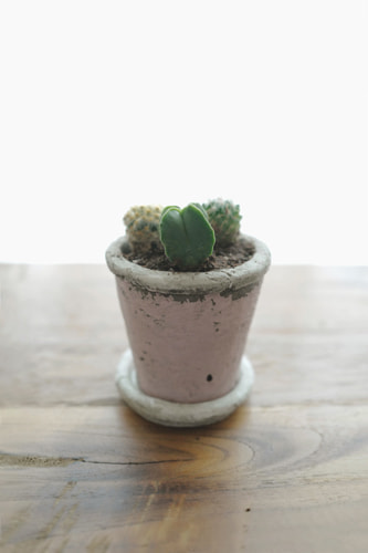 出張写真教室(フォトレッスン) テーブルフォト