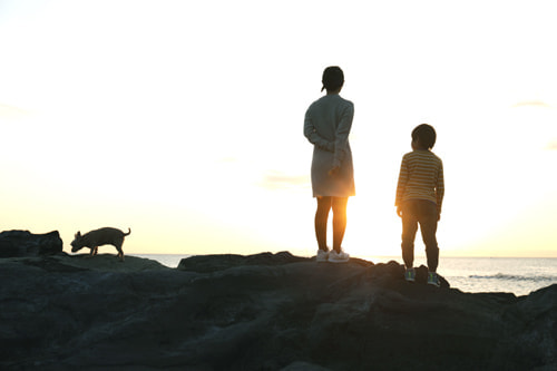 EOS 5D Mark IV｜作例｜逆光