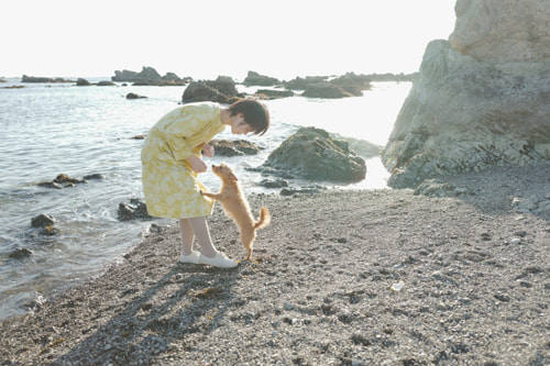 LeicaQ typ116 Summilux28mm F1.7 ASPH｜作例｜葉山の海岸