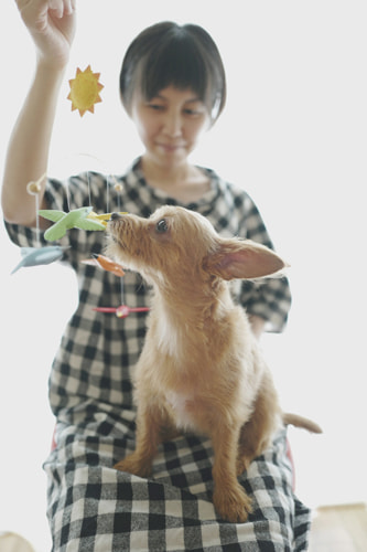 LeicaQ typ116 Summilux28mm F1.7 ASPH｜作例｜モビール