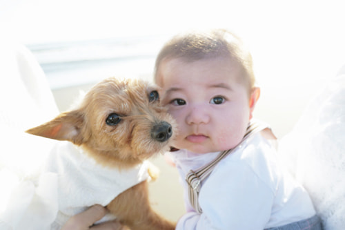 LeicaQ typ116 Summilux28mm F1.7 ASPH｜作例｜冬の森