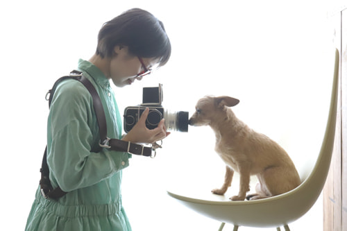 Hasselblad500C Planar C80mm f2.8レビュー(使用感)｜作例