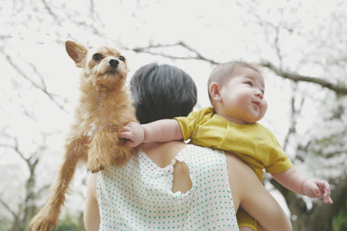 桜をおしゃれに撮る｜人物