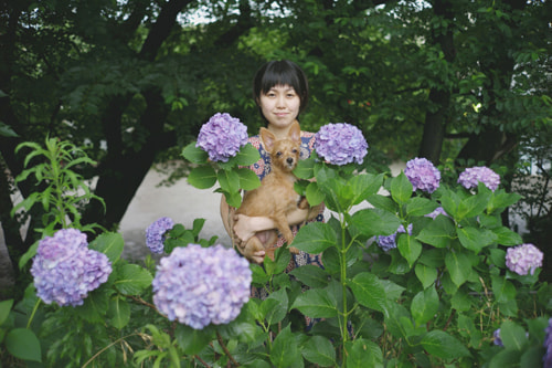 紫陽花のおしゃれな撮り方｜紫陽花の後ろに人物を入れる