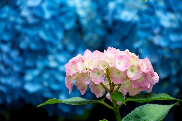 ローアングルで立体感を出す