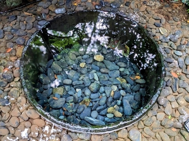 明治神宮の写真スポット｜美しく撮れるおすすめ撮影ポイント｜明治神宮御苑