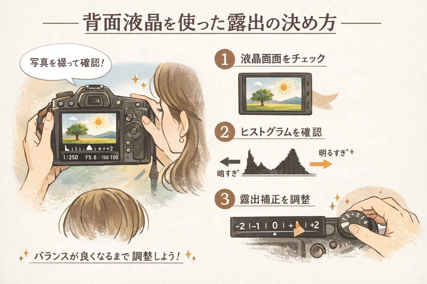 背面液晶を使った露出の決め方｜ミラーレスカメラの背面液晶で露出を見極める