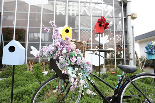 比較写真＝ビフォー