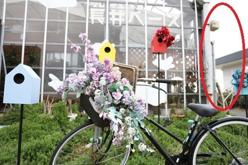 比較写真＝訂正箇所